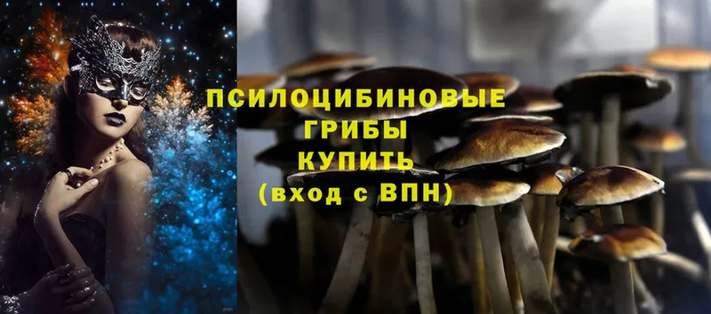 Псилоцибиновые грибы Psilocybine cubensis  Зима 